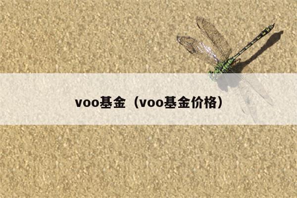 voo基金（voo基金价格）