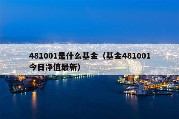 481001是什么基金（基金481001今日净值最新）