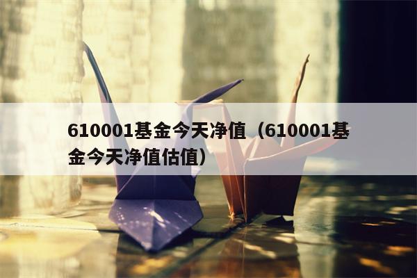 610001基金今天净值（610001基金今天净值估值）