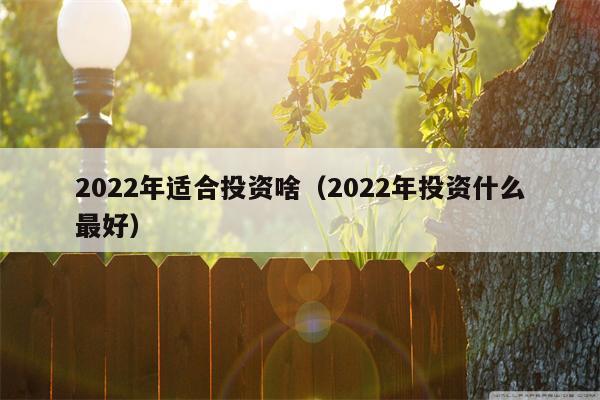 2022年适合投资啥（2022年投资什么最好）