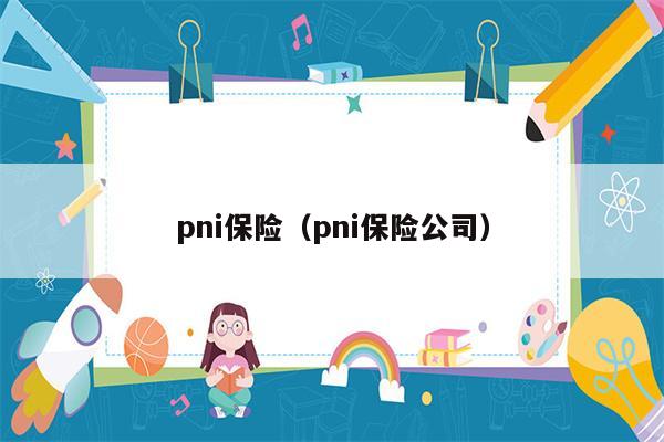 pni保险（pni保险公司）