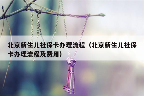 北京新生儿社保卡办理流程（北京新生儿社保卡办理流程及费用）