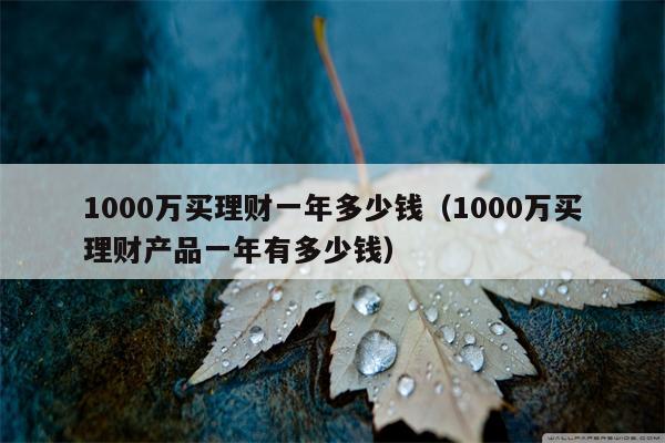 1000万买理财一年多少钱（1000万买理财产品一年有多少钱）