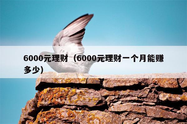 6000元理财（6000元理财一个月能赚多少）