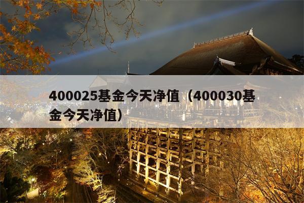 400025基金今天净值（400030基金今天净值）