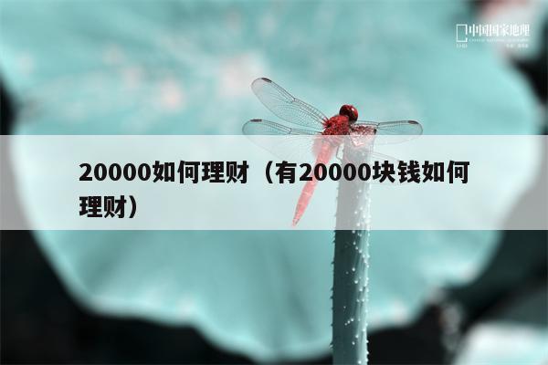 20000如何理财（有20000块钱如何理财）