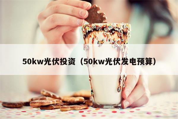 50kw光伏投资（50kw光伏发电预算）