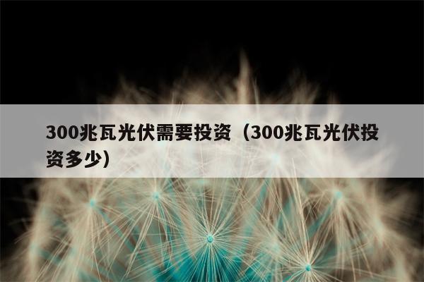 300兆瓦光伏需要投资（300兆瓦光伏投资多少）