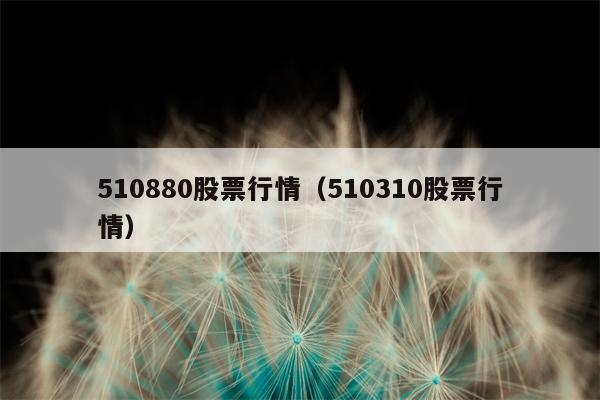 510880股票行情（510310股票行情）