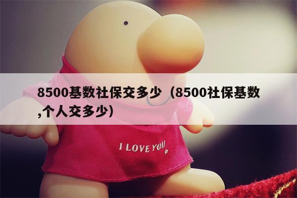 8500基数社保交多少（8500社保基数,个人交多少）