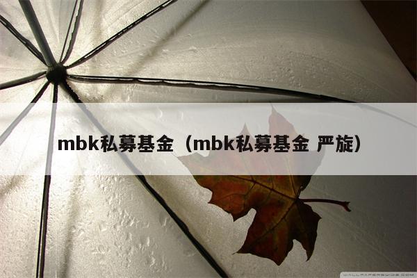 mbk私募基金（mbk私募基金 严旋）