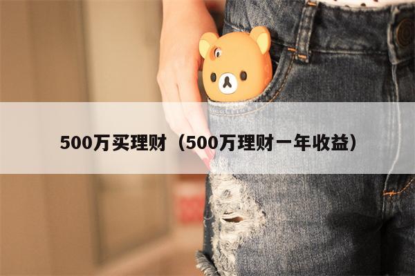 500万买理财（500万理财一年收益）