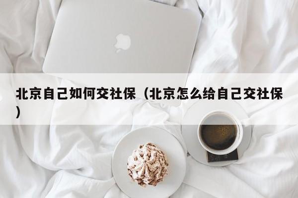 北京自己如何交社保（北京怎么给自己交社保）