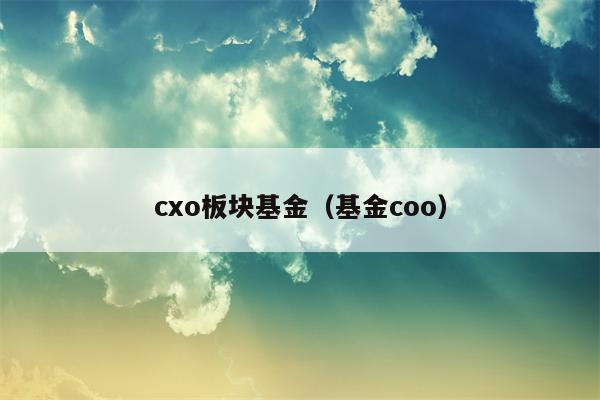 cxo板块基金（基金coo）