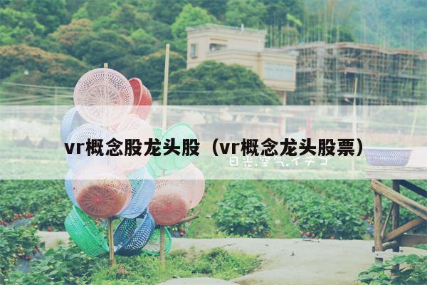 vr概念股龙头股（vr概念龙头股票）