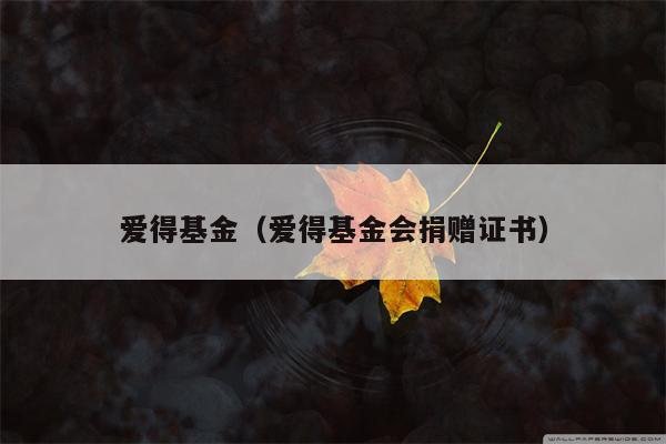 爱得基金（爱得基金会捐赠证书）