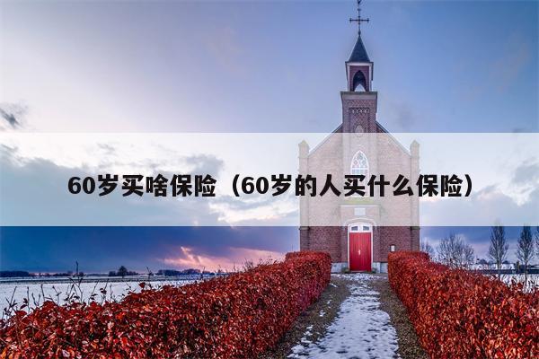 60岁买啥保险（60岁的人买什么保险）