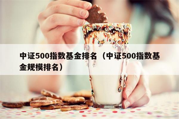 中证500指数基金排名（中证500指数基金规模排名）