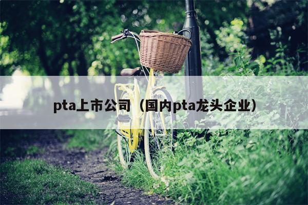 pta上市公司（国内pta龙头企业）