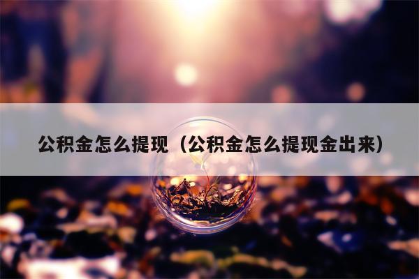 公积金怎么提现（公积金怎么提现金出来）