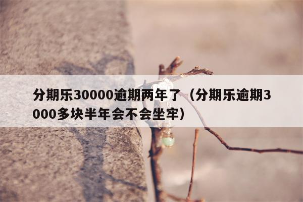 分期乐30000逾期两年了（分期乐逾期3000多块半年会不会坐牢）