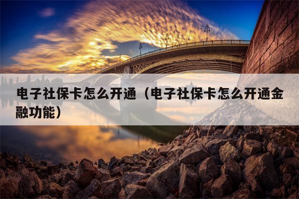 电子社保卡怎么开通（电子社保卡怎么开通金融功能）