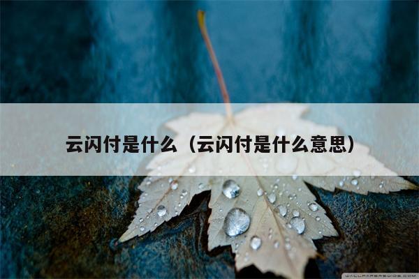 云闪付是什么（云闪付是什么意思）