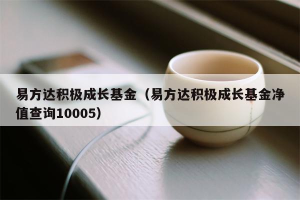 易方达积极成长基金（易方达积极成长基金净值查询10005）