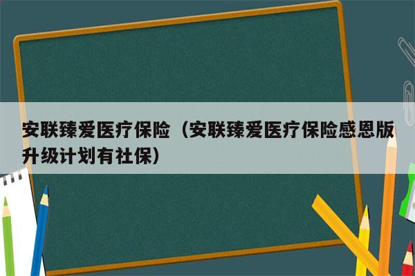 安联臻爱医疗保险（安联臻爱医疗保险感恩版升级计划有社保）