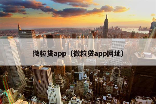 微粒贷app（微粒贷app网址）