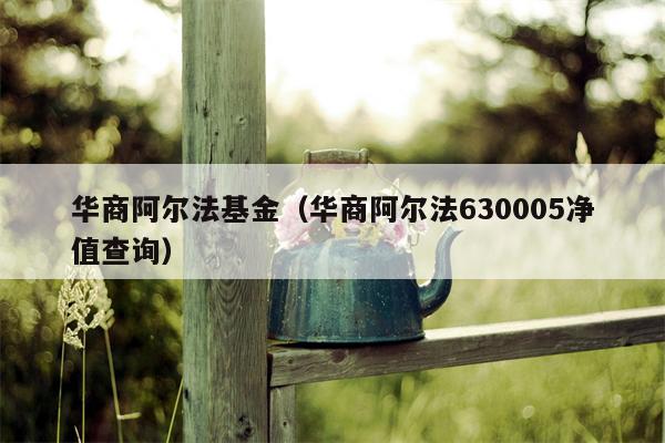 华商阿尔法基金（华商阿尔法630005净值查询）