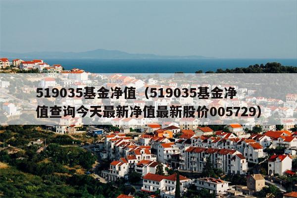 519035基金净值（519035基金净值查询今天最新净值最新股价005729）