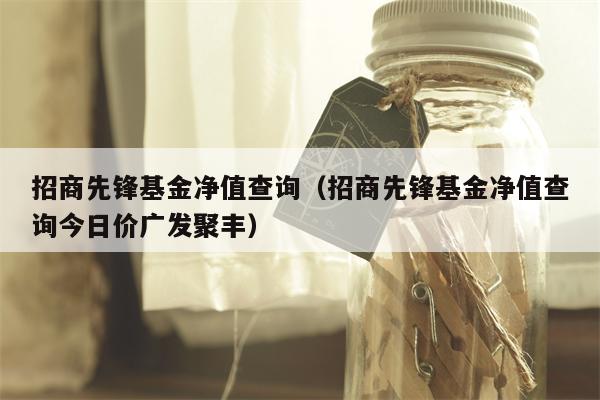 招商先锋基金净值查询（招商先锋基金净值查询今日价广发聚丰）