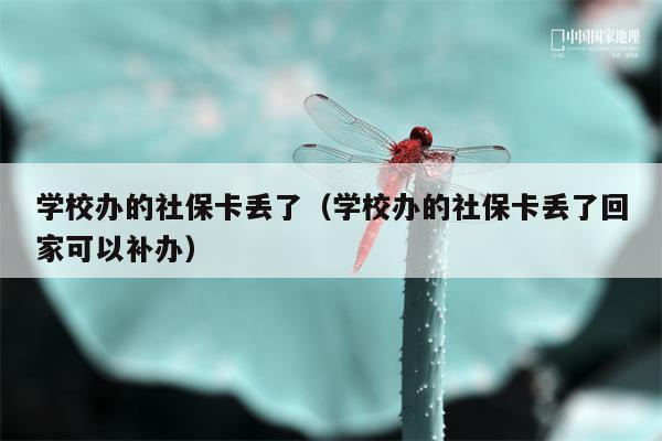 学校办的社保卡丢了（学校办的社保卡丢了回家可以补办）