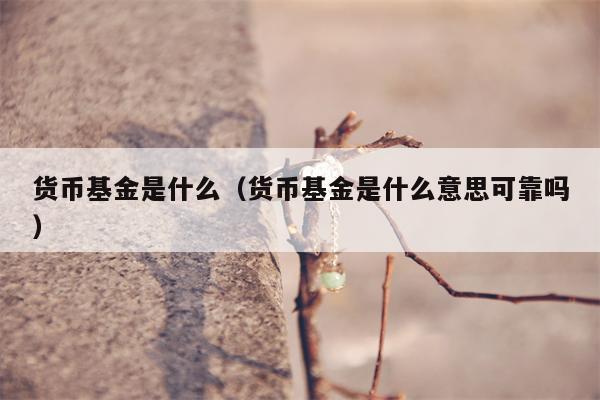 货币基金是什么（货币基金是什么意思可靠吗）