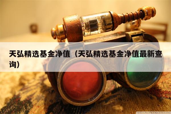 天弘精选基金净值（天弘精选基金净值最新查询）