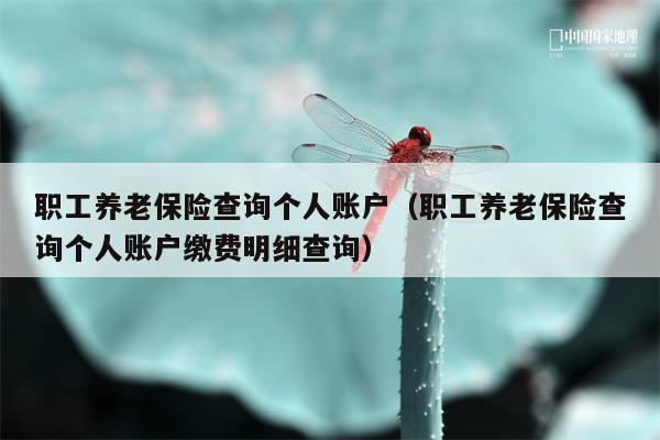 职工养老保险查询个人账户（职工养老保险查询个人账户缴费明细查询）