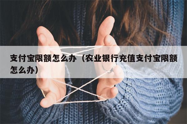 支付宝限额怎么办（农业银行充值支付宝限额怎么办）