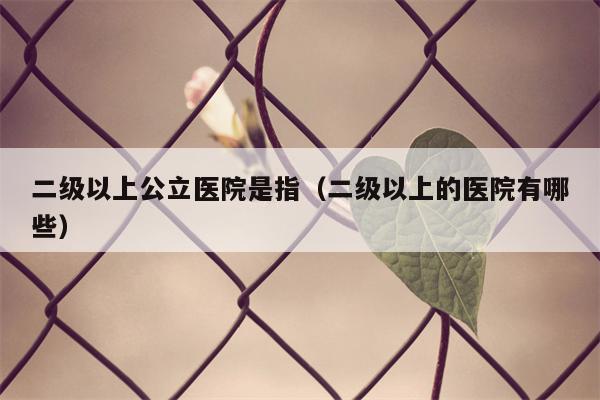 二级以上公立医院是指（二级以上的医院有哪些）