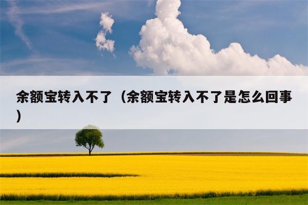 余额宝转入不了（余额宝转入不了是怎么回事）