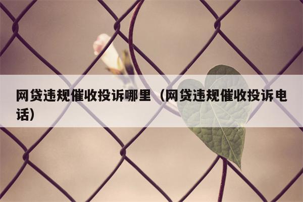 网贷违规催收投诉哪里（网贷违规催收投诉电话）