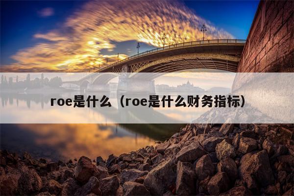 roe是什么（roe是什么财务指标）