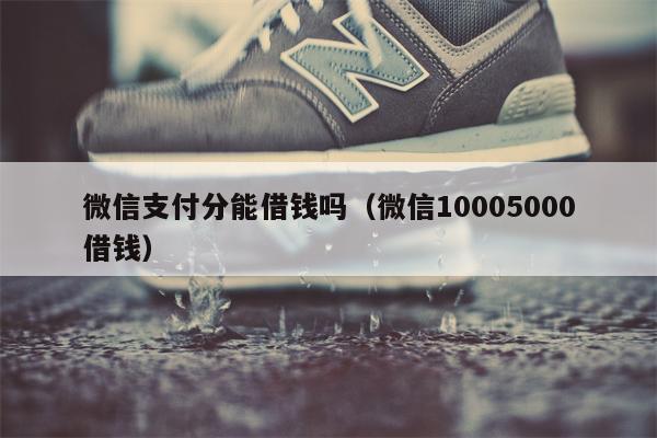 微信支付分能借钱吗（微信10005000借钱）