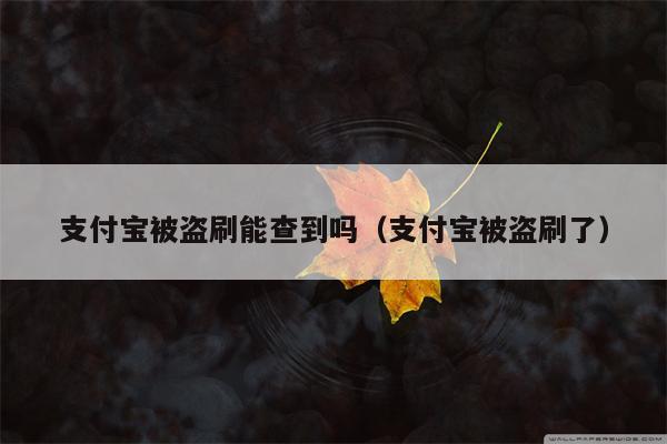 支付宝被盗刷能查到吗（支付宝被盗刷了）