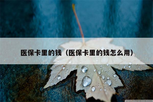 医保卡里的钱（医保卡里的钱怎么用）