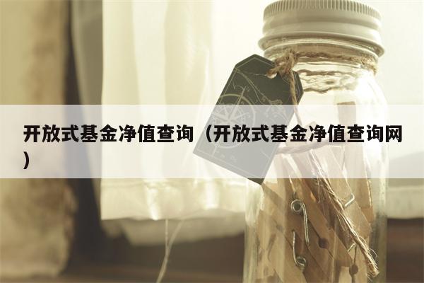 开放式基金净值查询（开放式基金净值查询网）