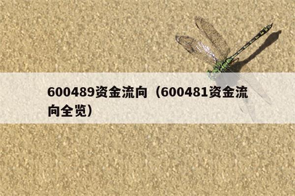 600489资金流向（600481资金流向全览）