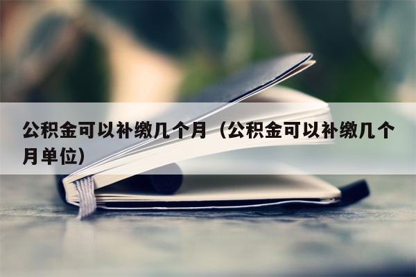 公积金可以补缴几个月（公积金可以补缴几个月单位）