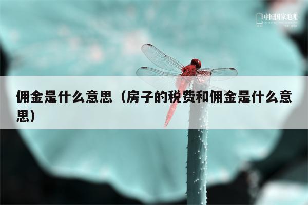 佣金是什么意思（房子的税费和佣金是什么意思）