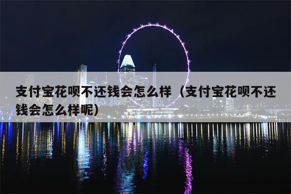 支付宝花呗不还钱会怎么样（支付宝花呗不还钱会怎么样呢）